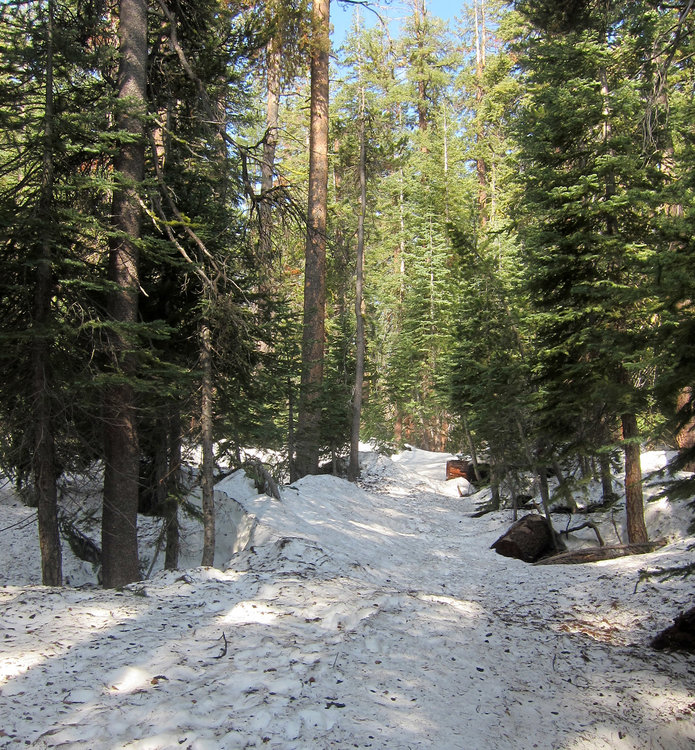 Snow at North Dome trail junction