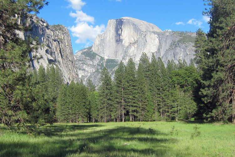Half Dome from Awahne Meadow