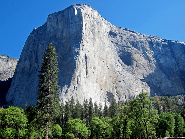 El Capitan Meadow view