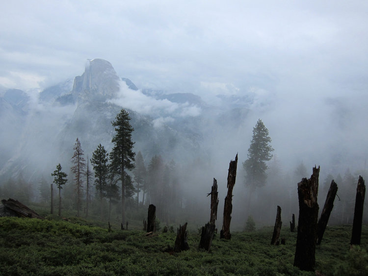 Foggy and rainy start from Glacier Point