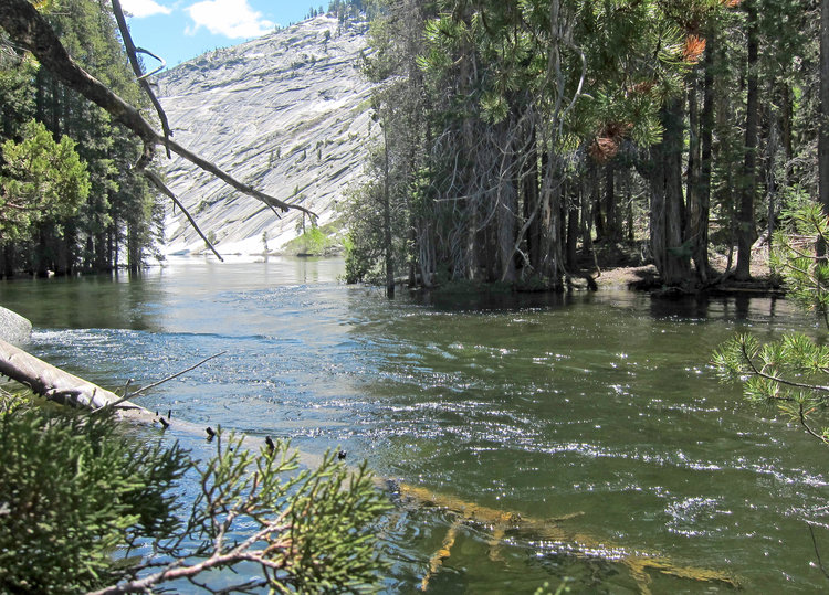 Flooded Merced Lake