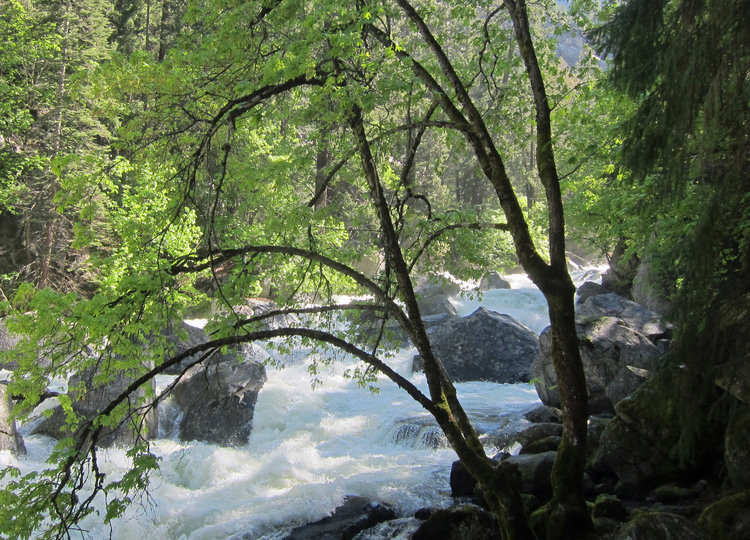 Merced River above Happy Isles