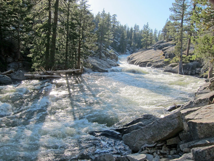 Yosemite Creek near camp