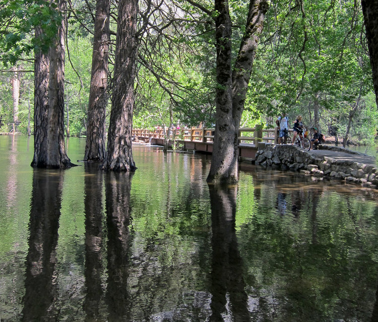Downstream flooding at Swinging Bridge