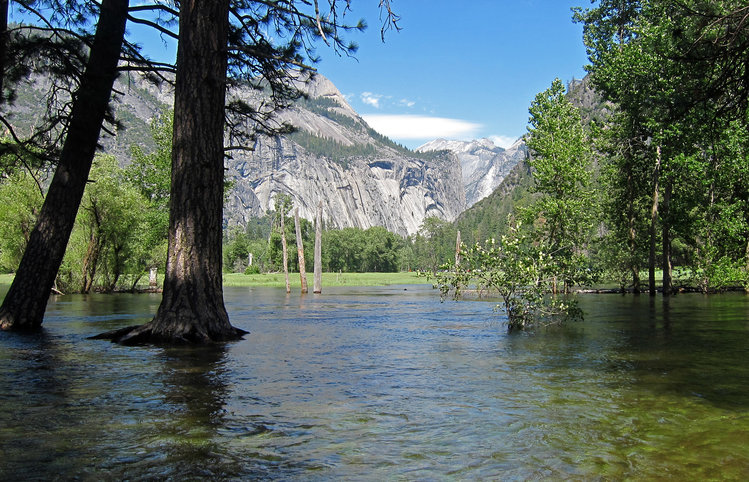 View upstream