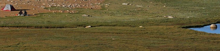 SO-12-crop.jpg