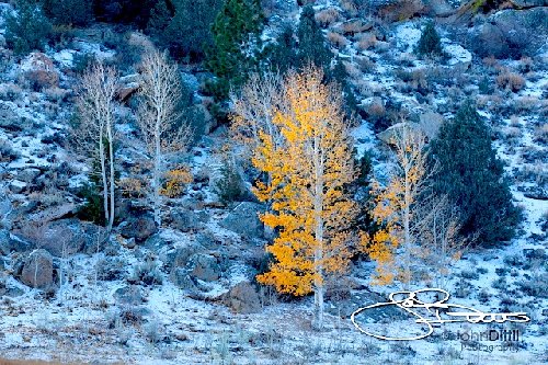 _MG_1675.jpg