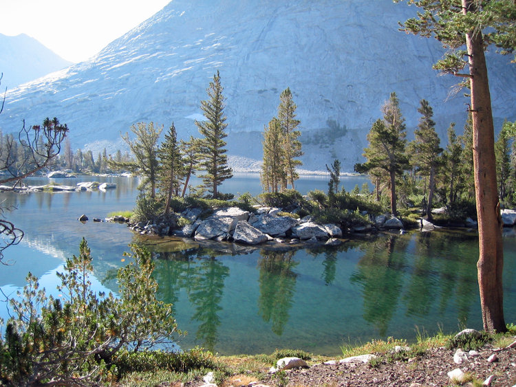 Bench Lake island of trees
