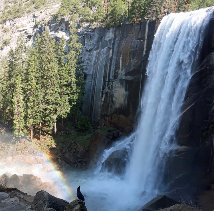 Vernal Falls on the Mist Trail