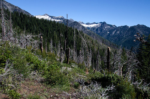 The trail goes somewhere that-a-way...maybe...