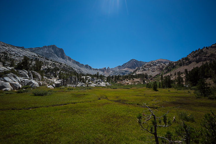 Meadow below Big McGee
