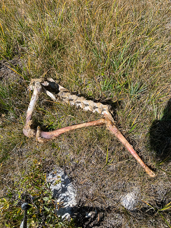 a crime scene