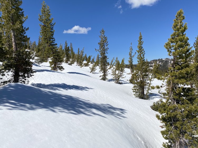 Snow fields somewhere along Burst Rock Trail on the way to Chewing Gum Lake