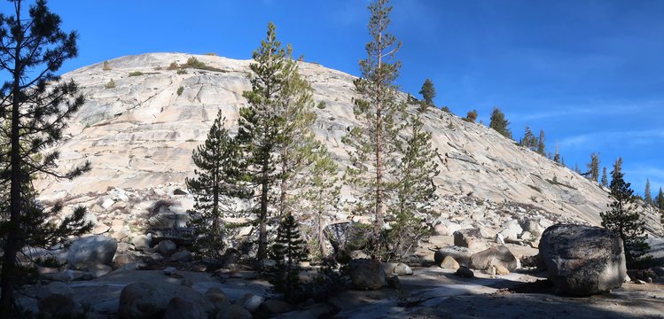 Morning view north of camp