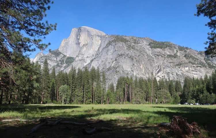 Half Dome from near Curry Meadow