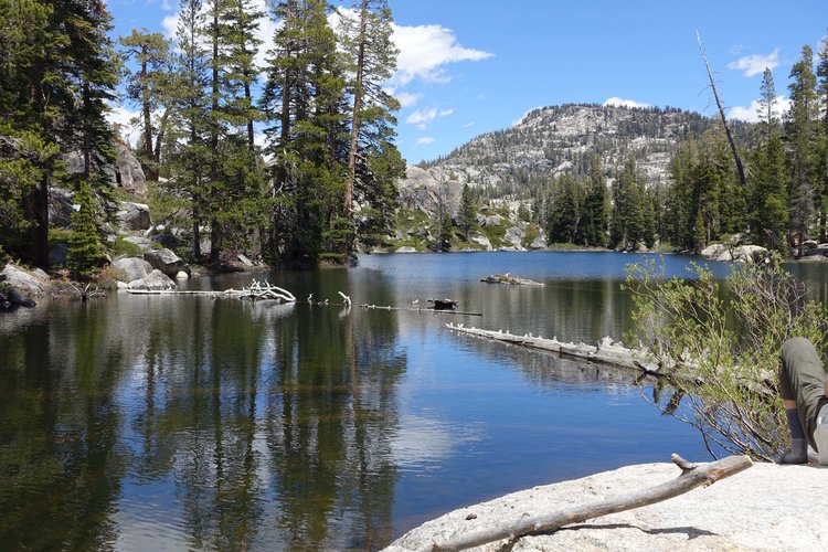 Camp Lake