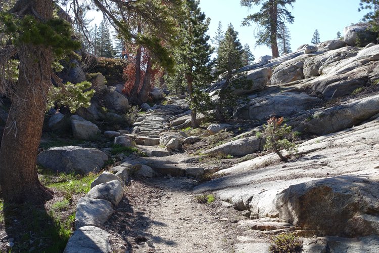 Typical stretch of high trail