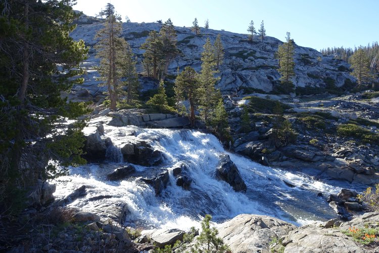 W Fork Cascades
