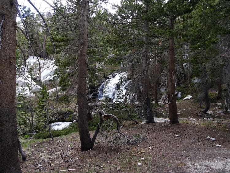 Lovely Cascade on the way to Granite Park.