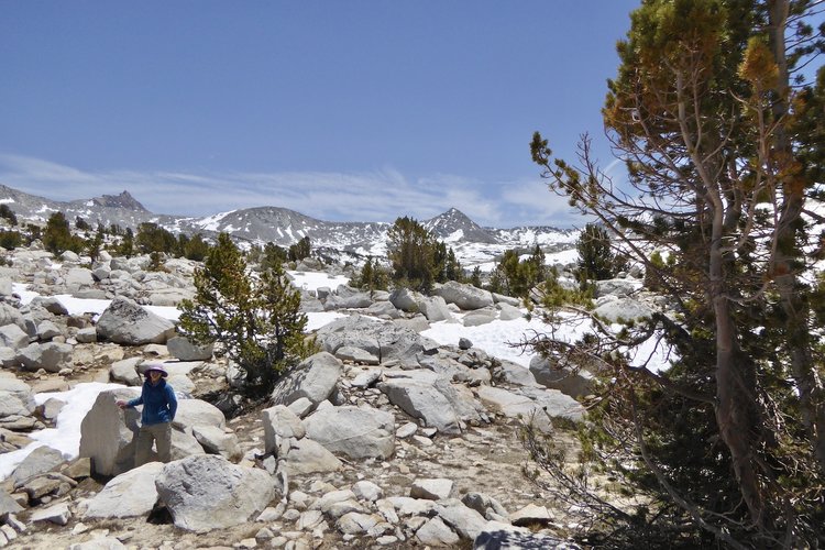 View of Royce and Miriam Peaks from the Pass
