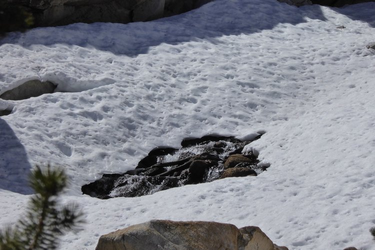 The creek poking through the snow.