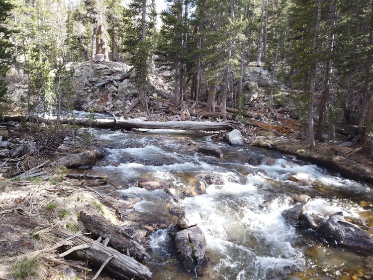 Log Over Bubbs Creek
