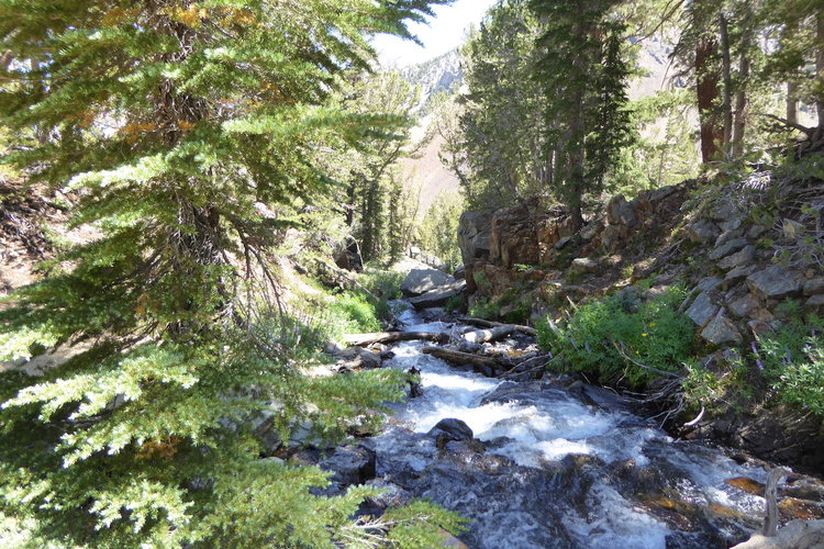 The way to Summit Lake4