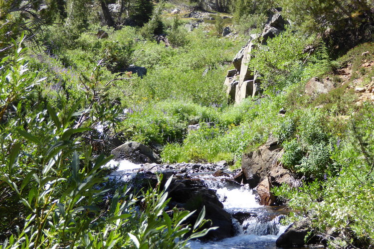The way to Summit Lake
