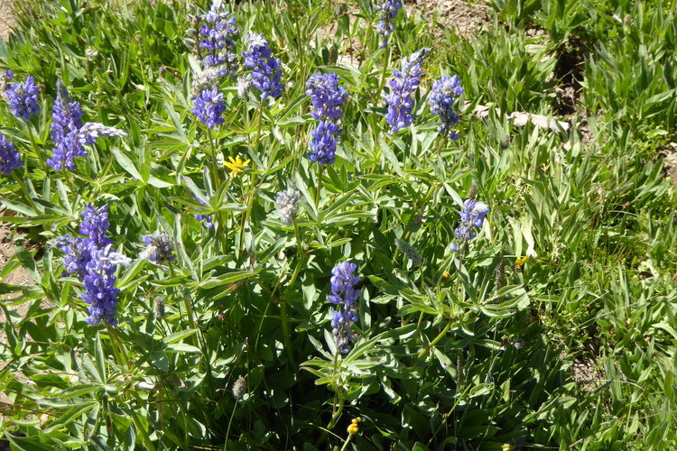 P1050300.JPG