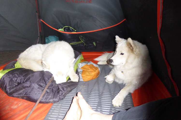 OK- So where am I supposed to sleep?
