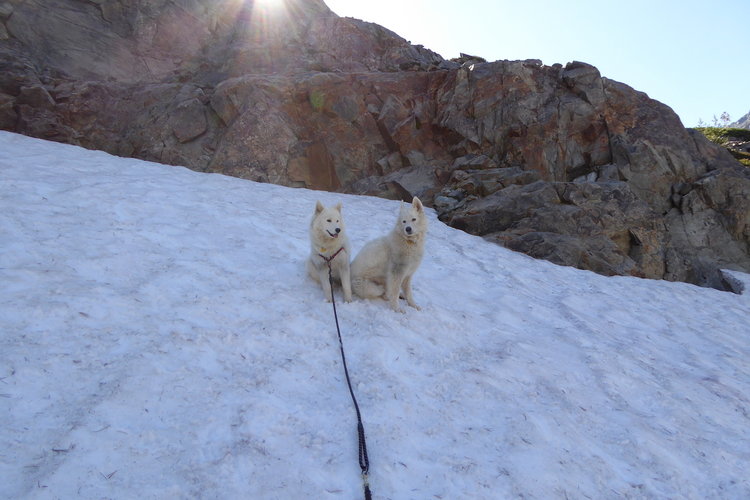 The girls found this snow patch and had a rollicking good chase game!