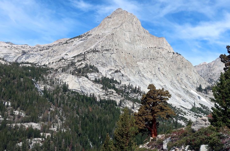 View north to Langille Peak