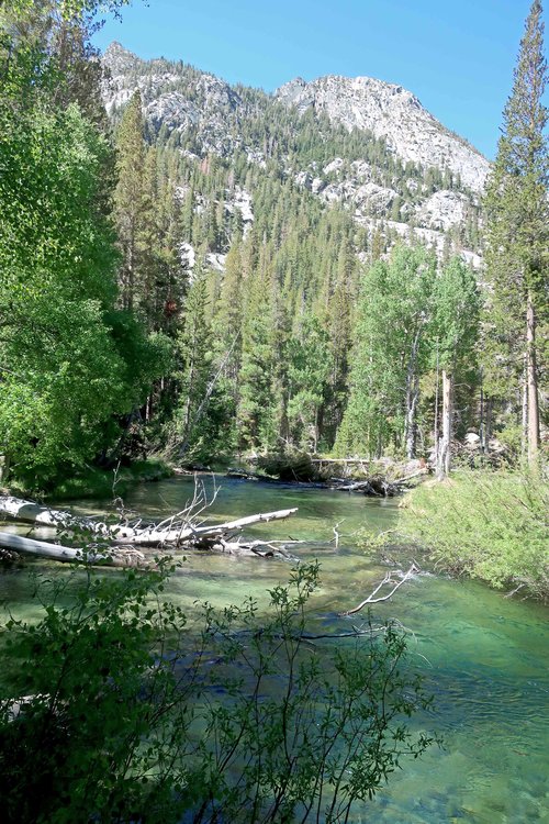 Palisade Creek about 1 mile upstream of confluence with MF Kings