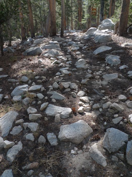 Typical trail condition between Half Moon Lake and N. Fk. Kings River