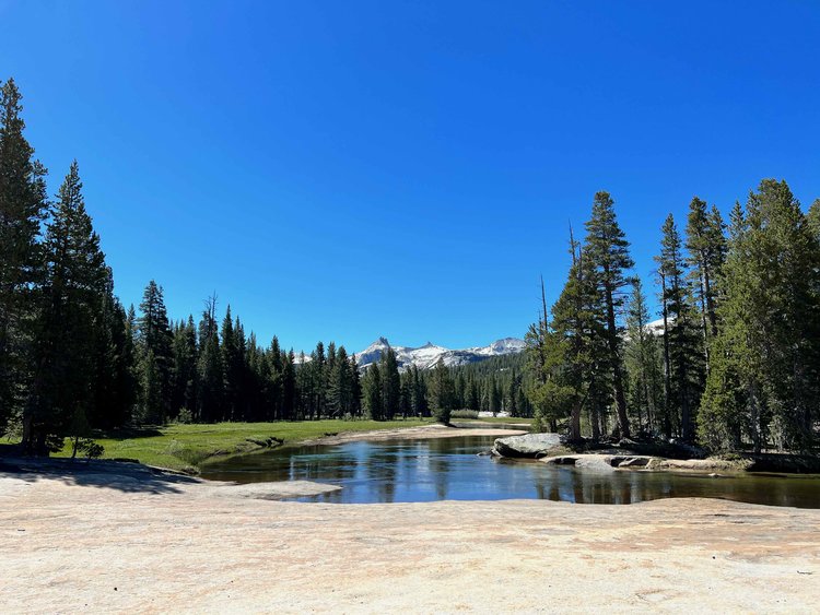 Tuolumne Meadows