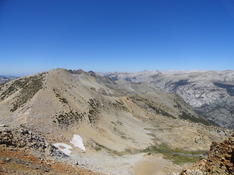North View