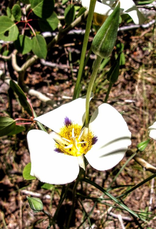 100_1009.JPG