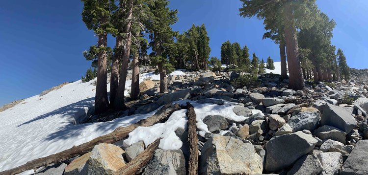 Annoying boulder field