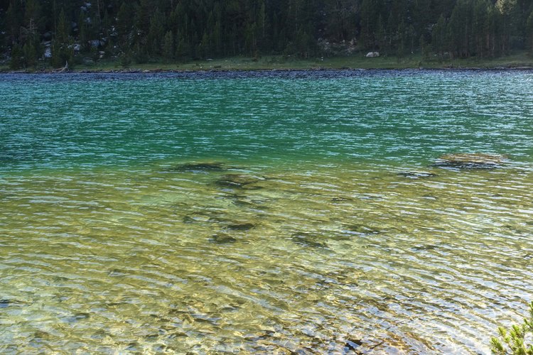 Evening lake colors.