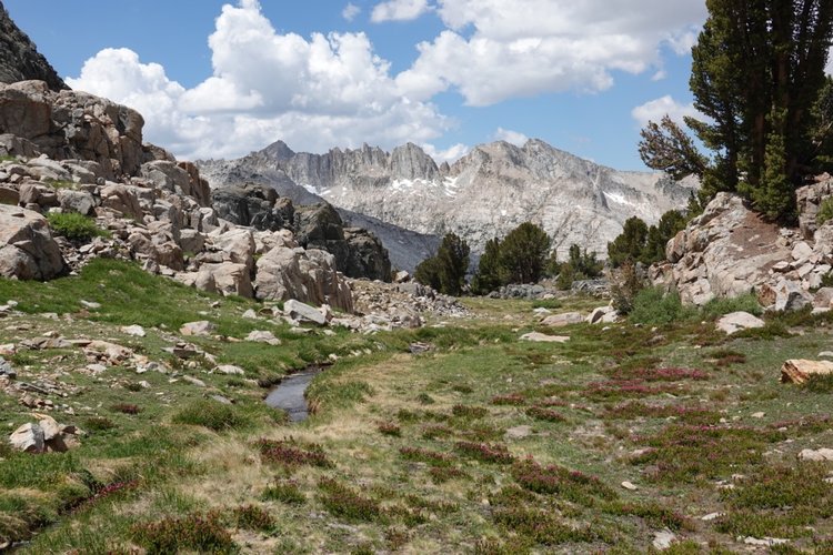 Upper Fish Creek basin