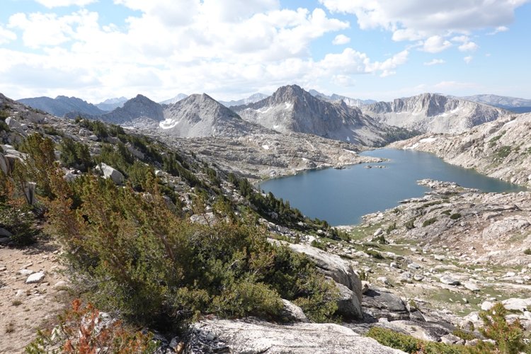 Bighorn from Rohn pass