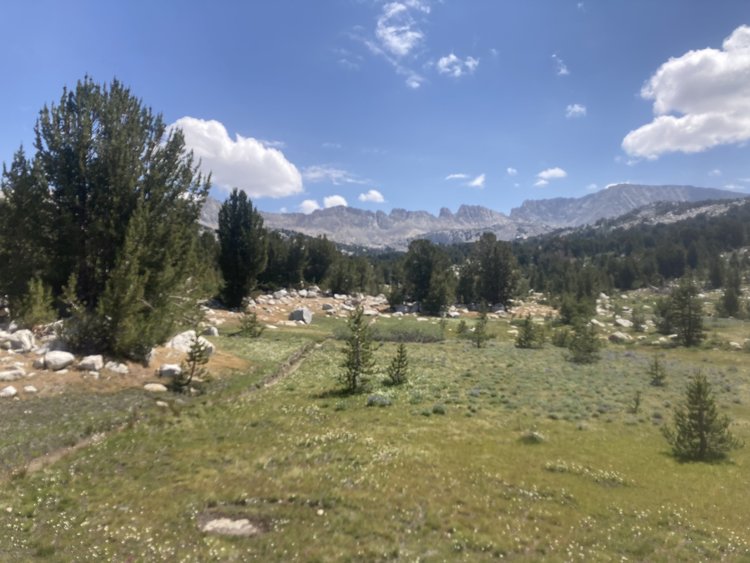 IMG_4038.jpeg