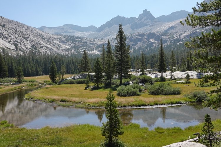 View up Lyell fork canyon