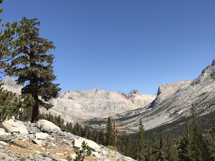 View up the Big arroyo