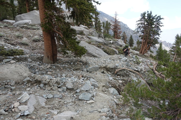 Trail damage