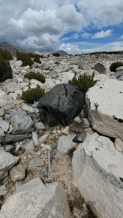 Token Rock