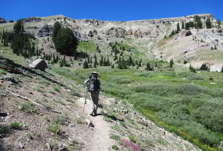 Some flowering species were past their peak, such as lupines, but the deep pink (?) epilobium (?) making up the near clump and the larger patches in the distance were in full bloom.