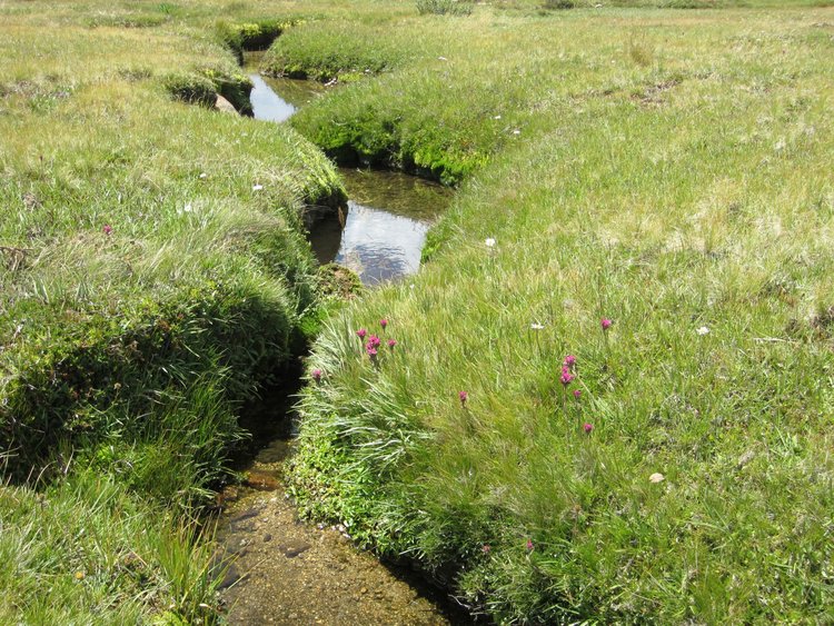 A lovely stream