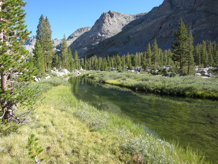 Goddard Creek