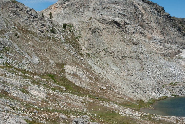 Whitebark Pass from the western Nydiver approach